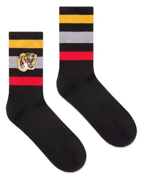 gucci to the socks|gucci socks tiger black.